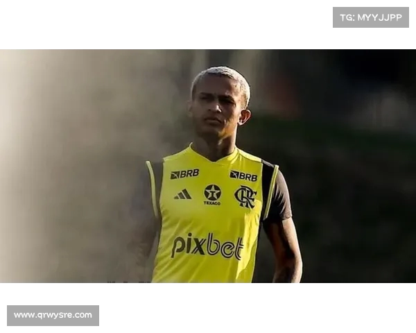 韦斯利-利马愿意加盟罗马 弗拉门戈标价不低于3000万 韦斯利-利马愿意加盟罗马 弗拉门戈标价不低于3000万